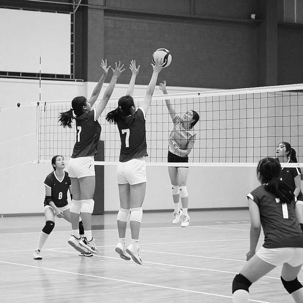 Ai Cập vô địch bóng chuyền nữ châu Phi: Tấm vé Olympic lịch sử và bước tiến cho bóng chuyền châu lục