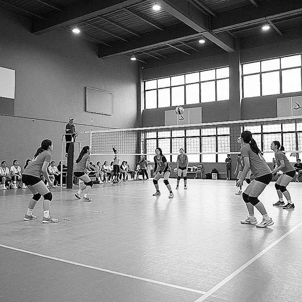 Turkey Lose 3-1 to Romania at EuroVolley 2026: Group D Fate Hinges on Latvia Turkey Lose 3-1 to Romania at EuroVolley 2026: Group D Fate Hinges on Latvia